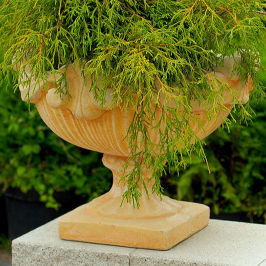 Betona puķupods - Epikūrs, 2013